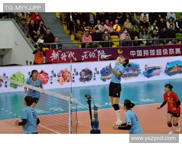 上海排球队的转型之路:从传统强队到现代竞技新标杆的蜕变与挑战
