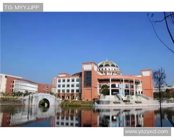 武汉篮球队逆袭全国锦标赛的辉煌历程与背后故事揭秘